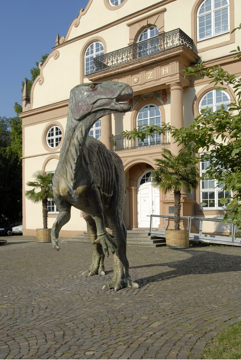 Eine Rekonstruktion des Dinosauriers Iguanodon steht vor dem Naturkundemuseum.