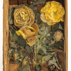 Innenansicht eines Holzbuches - gelbe gefülte Rose.