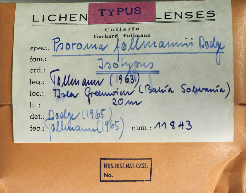 Beschrifteter Umschlag aus der Flechtensammlung Follmann mit einem roten Etikett auf dem Typus steht.