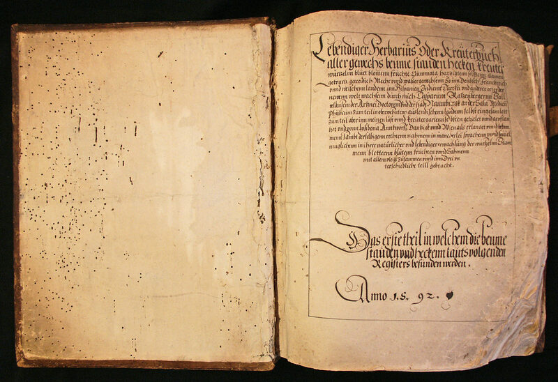 Aufgeklappter erster Band des Herbariums von Caspar Ratzenberger. Der Einband aus Holz und Leder ist wurmstichig. Aufgeschlagen ist das 1592 mit Tinte geschriebene Titelblatt zu lesen.