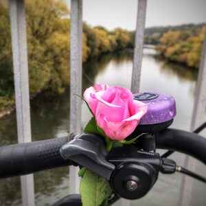 Fahrradlenker mit Blume auf einer Fuldabrücke