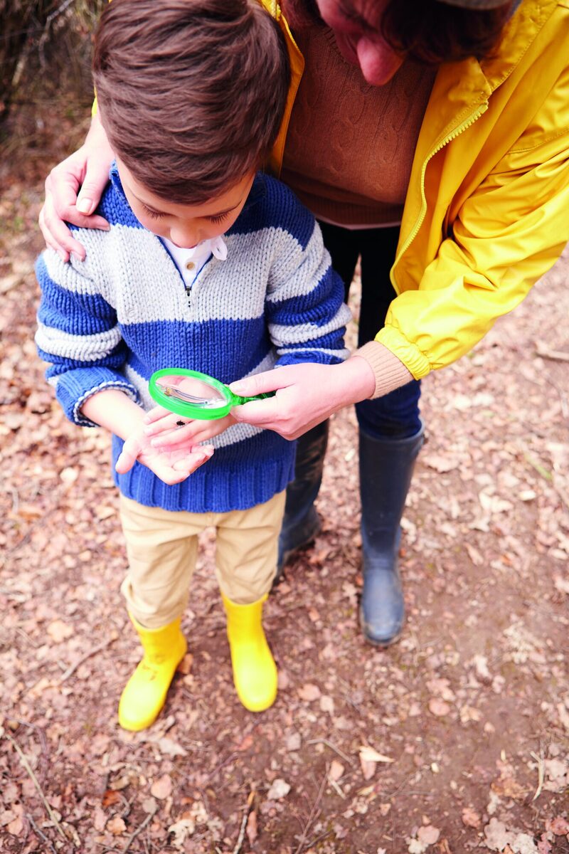 Ein Kind untersucht ein Insekt unter der Lupe.
