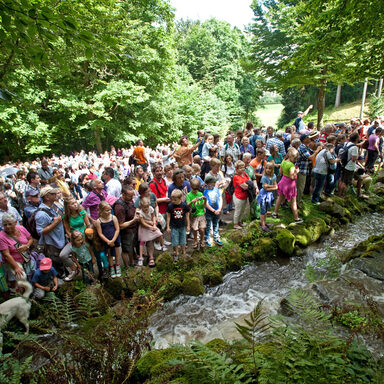 Schulbesuch am Steinhöfer Wasserfall