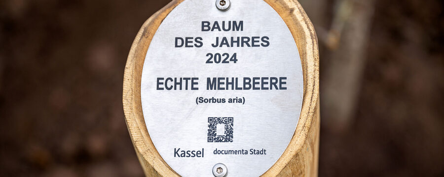 Plakette mit dem Text: Baum des Jahres 2024 Echte Mehlbeere und einem QR Code