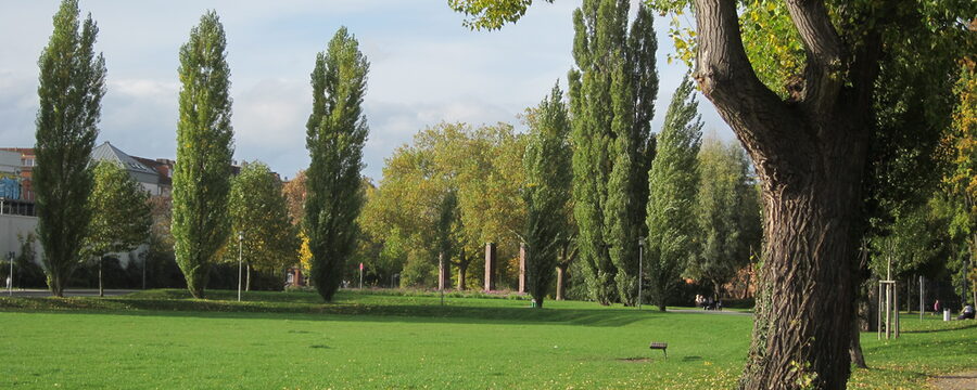 Blick auf die Wiese im Nordstadtpark