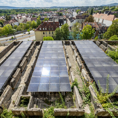 Solarpanele auf Ruinen am Weinberg in Kassel. Im Hintergrund Häuser.