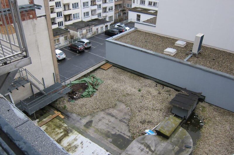 Dachbegrünung Kassel