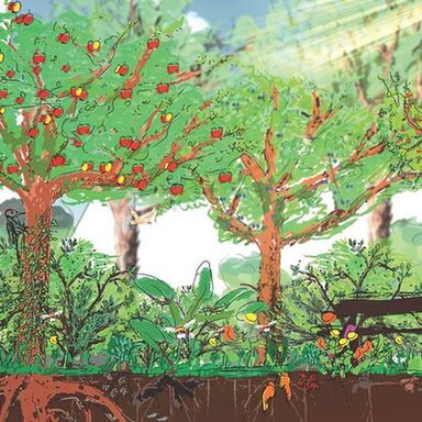 Ein gemaltes Bild, wie ein urbaner Waldgarten aussehen kann: Mit Obstbäumen mitten in der Stadt