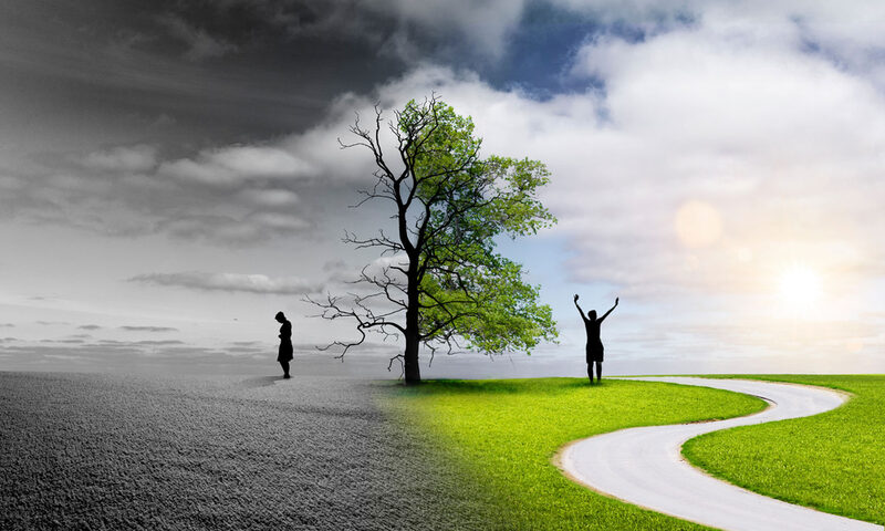weigeteiltes Bild: links traurige Person mit einem verdorrten Baum in schwarz weiß, auf der rechten Seite eine glückliche Person mit einem gesunden Baum in Grüntönen