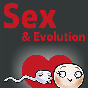 Plakat zur Sonderausstellung "Sex und Evolution" mit Darstellung eines Spermiums und einer Eizelle.
