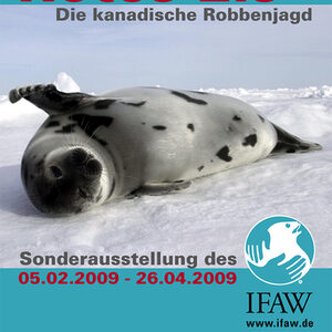 Plakat zur Sonderausstellung "Rotes Eis - Die kanadische Robbenjagd" mit Foto einer Robbe auf Eis.