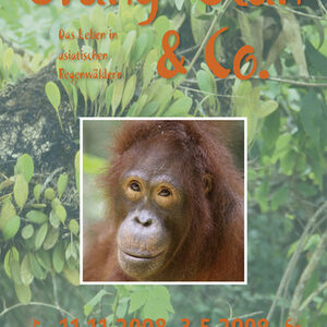 Plakat zur Sonderausstellung "Orang-Utan & Co - Das Leben in asiatischen Regenwäldern" mit Foto eines Orang-Utans.