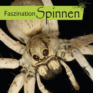 Plakat zur Sonderausstellung "Faszination Spinnen" mit Frontalaufnahme einer Vogelspinne.