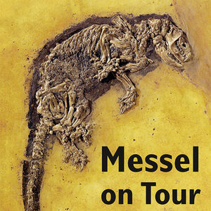 Plakat zur Sonderausstellung "Messel on Tour" mit Fossil.