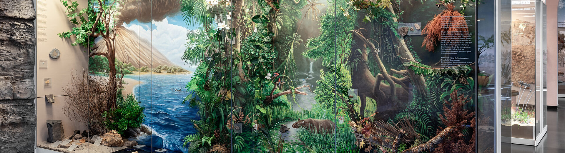 In der Vitrine zum Eozän ist ein urzeitlicher Dschungel mit vielen Pflanzen inszeniert.