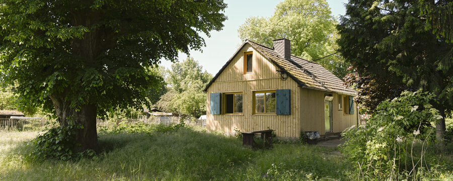 Holzhaus umgeben von Wiese und Bäumen