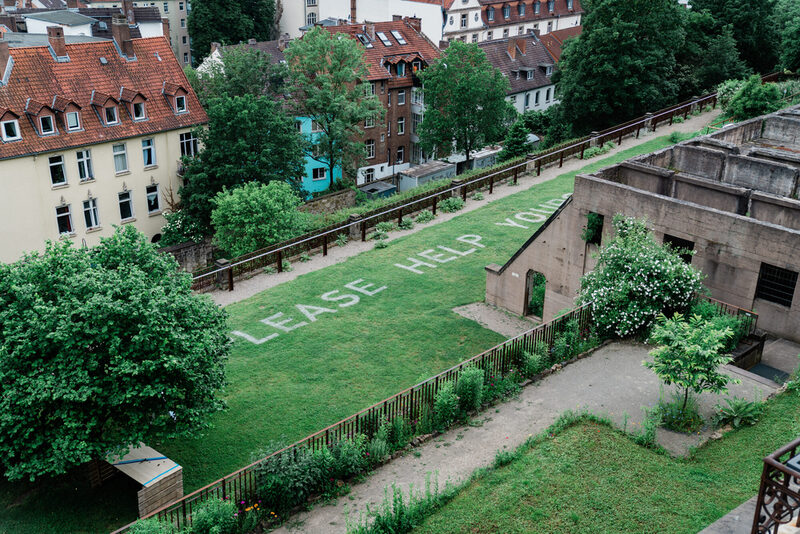 Weinberg Terrassen mit Kunstwerk zum Galeriefest