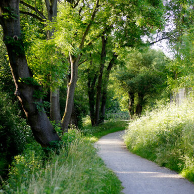 Die Döllbachaue, die in den Park Rothenditmold überfließt, lädt mit ihren grünen Wiesen, guten Verstecken und fantastischen Fernblick sowie mehreren Spielplätzen ein, die Natur zu genießen.